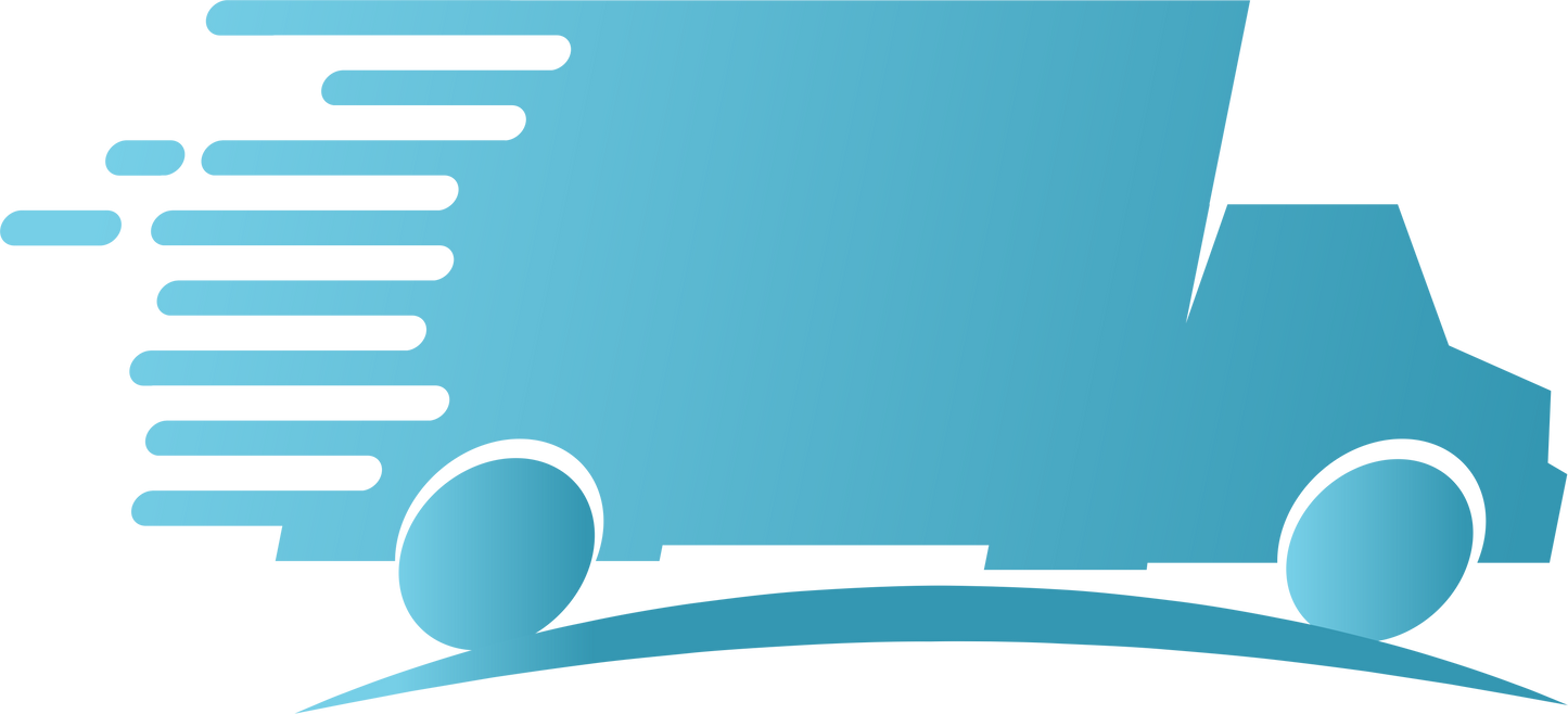 急ぎ便オプション（＋¥500）